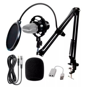 Microfono Condenser Pro-mic Bm800 + Soporte Shock + Filtro A