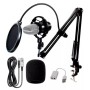 Microfono Condenser Pro-mic Bm800 + Soporte Shock + Filtro A