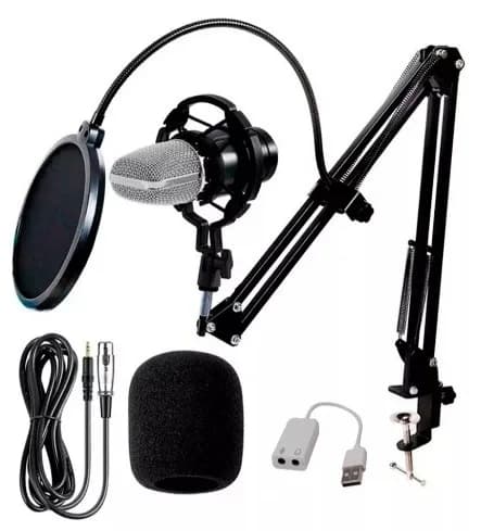 Microfono Condenser Pro-mic Bm800 + Soporte Shock + Filtro A