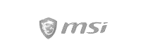 MSI